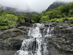Waterfall, Malshej Ghat