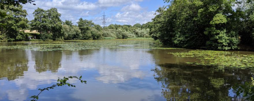 Bedelands Nature Reserve