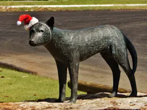 Dingo bronze sculpture