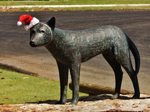 Dingo bronze sculpture