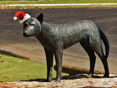 Dingo bronze sculpture