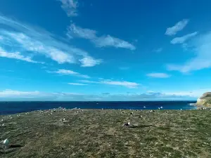 Nationalpark Isla Magdalena