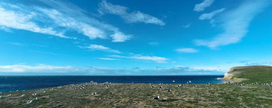 Nationalpark Isla Magdalena
