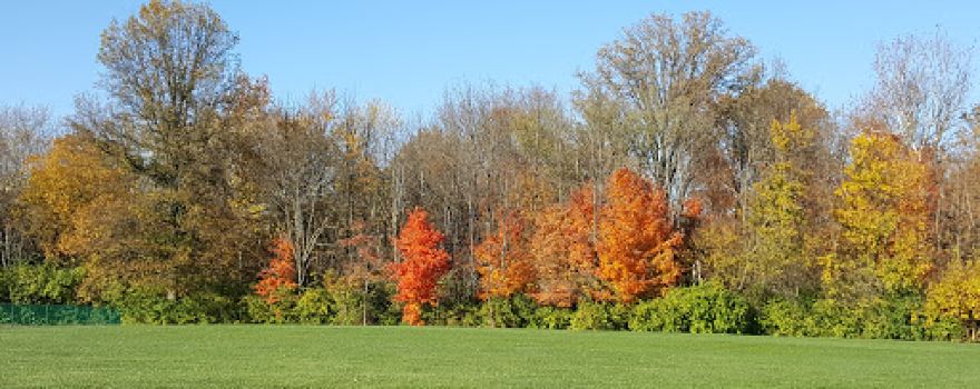 ESC Englewood Soccer Complex - Ward Field