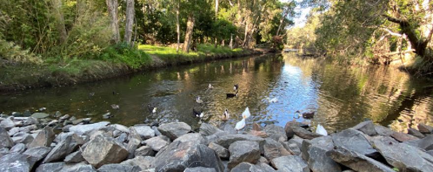 Perrin Park