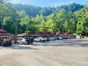 Lata Jeram Linang