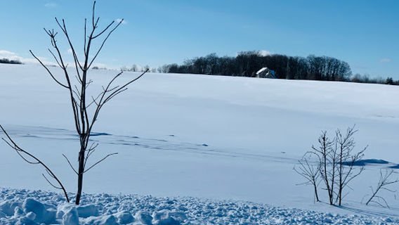 Devil's Glen Provincial Park