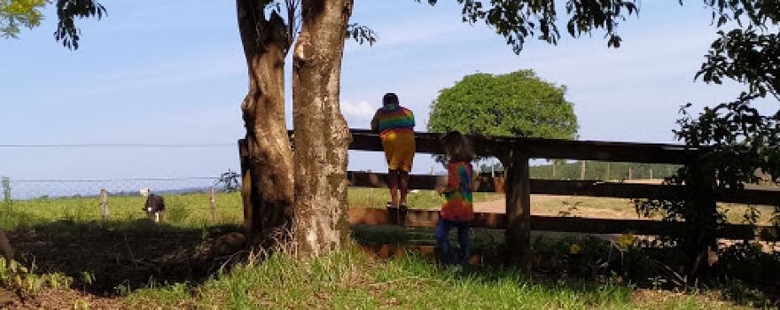 Fazenda Potirendaba