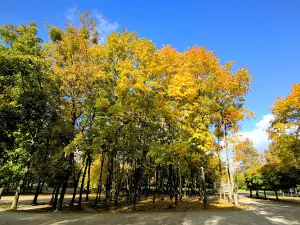 Park Śremskich Odlewników