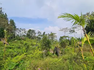 D'Las Dino Land Lembah Asri