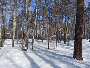 Detskiy Park