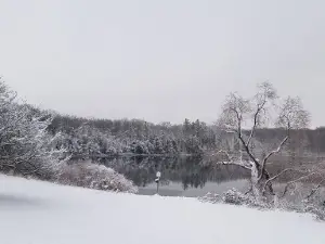 Marl Lake Roadside Park