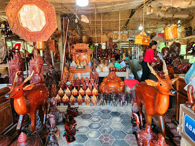 Mekong Dolphin Pleasance