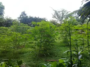 Las Madres Park