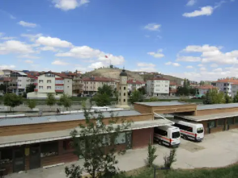 Aşık Veysel Kültür Merkezi