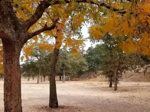 East La Loma Park
