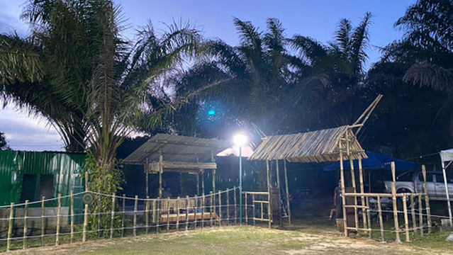 RAF Point with zipline adventure