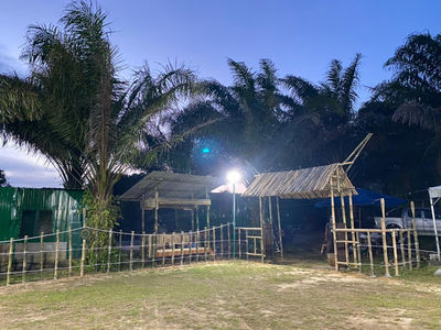 RAF Point with zipline adventure
