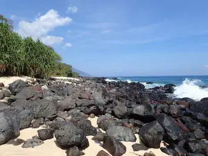 Pantai Pasir Putih Mingar