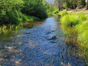 Sequoia RV Ranch
