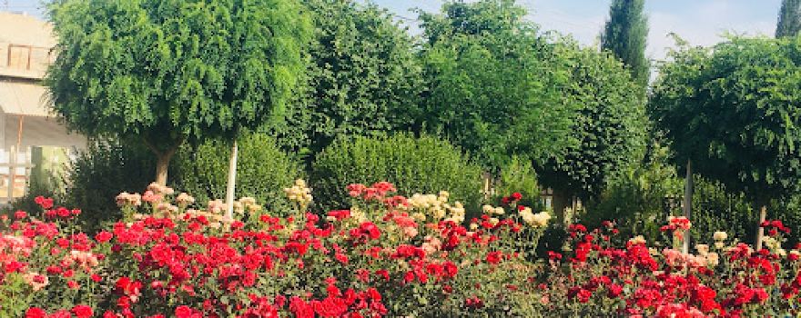 Rzgari Garden