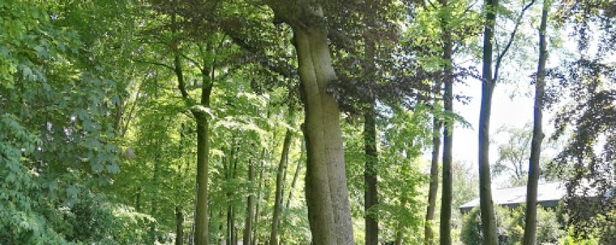 Quakenbrücker Park