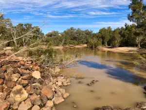 Allan Tannock Weir