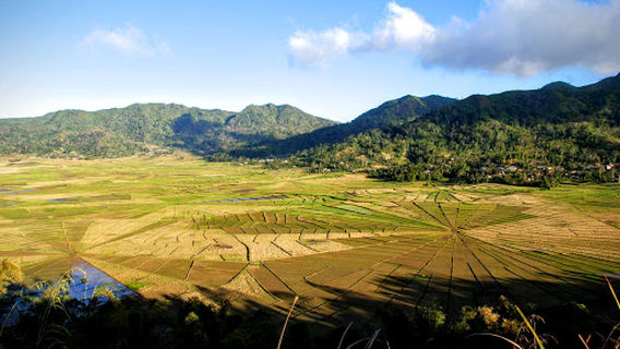 Manggarai