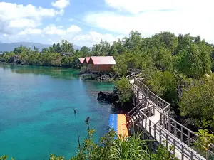 Teluk Bongo Raja Empat Maluku Utara