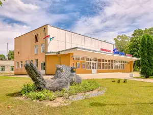 Sputnik Kinoteatr
