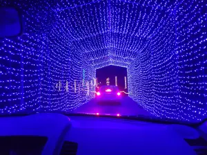 Candy Cane Lane