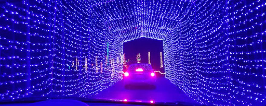 Candy Cane Lane