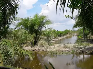 Tangkahan Horas Blk. III kiri (Op. Moses)