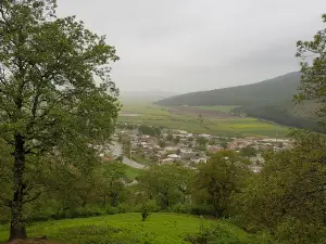 Shabnam Forest Park