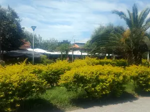 Paseo Saavedra