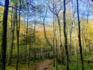 Margarette Falls Trailhead Parking Area
