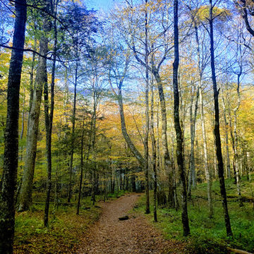 Margarette Falls Trailhead Parking Area