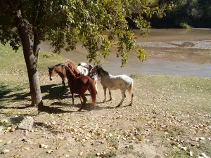 Balneario De Arroyito