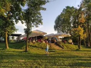 Sports Club MORiS