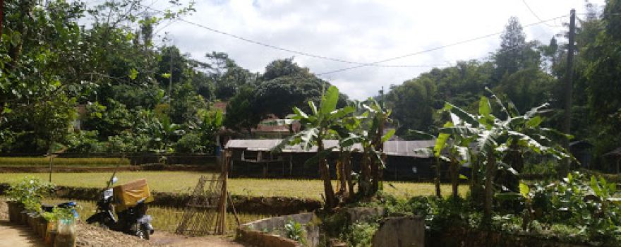 gunung BAtara SODONghilir