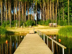 Arimaičių ežero paplūdimys