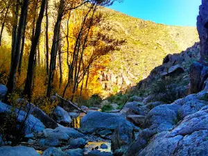 La Ventana