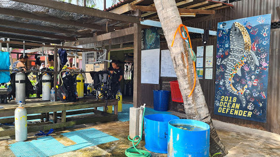 Dive Redang @ Redang Pelangi Resort