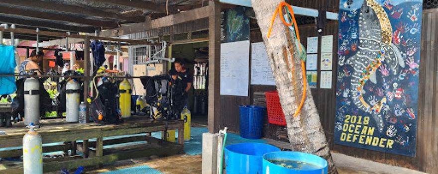 Dive Redang @ Redang Pelangi Resort