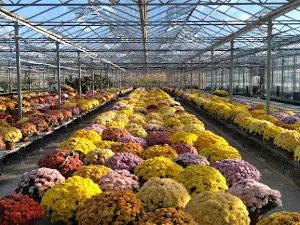 Les Jardins de Sologne