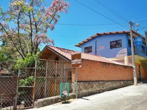 Museo Fernando Llort