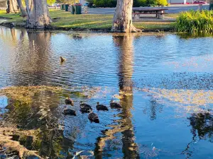 Tolmer Park