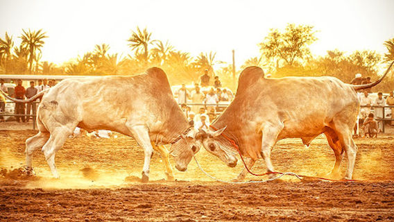 Fujairah