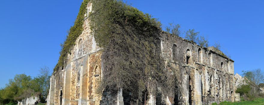 Ruines de l'abbaye Notre-Dame de Barbery