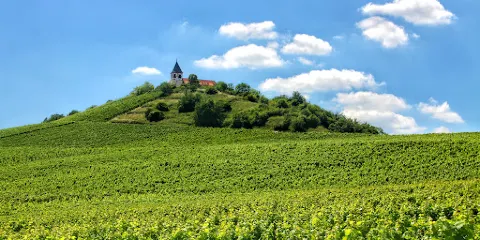Michaelskirche